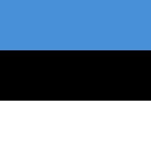 Estonia Visa Services
